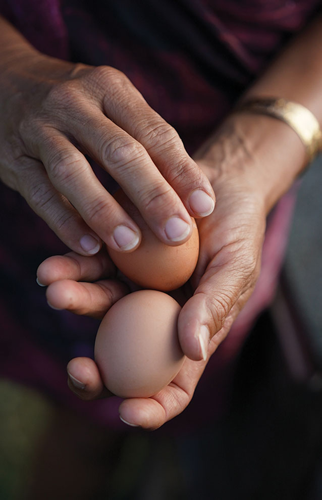 close-up of hands holding two brown eggs. 