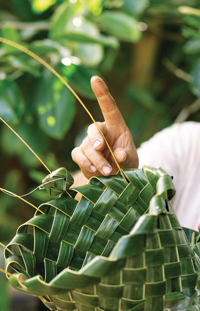 a person holding a woven basket