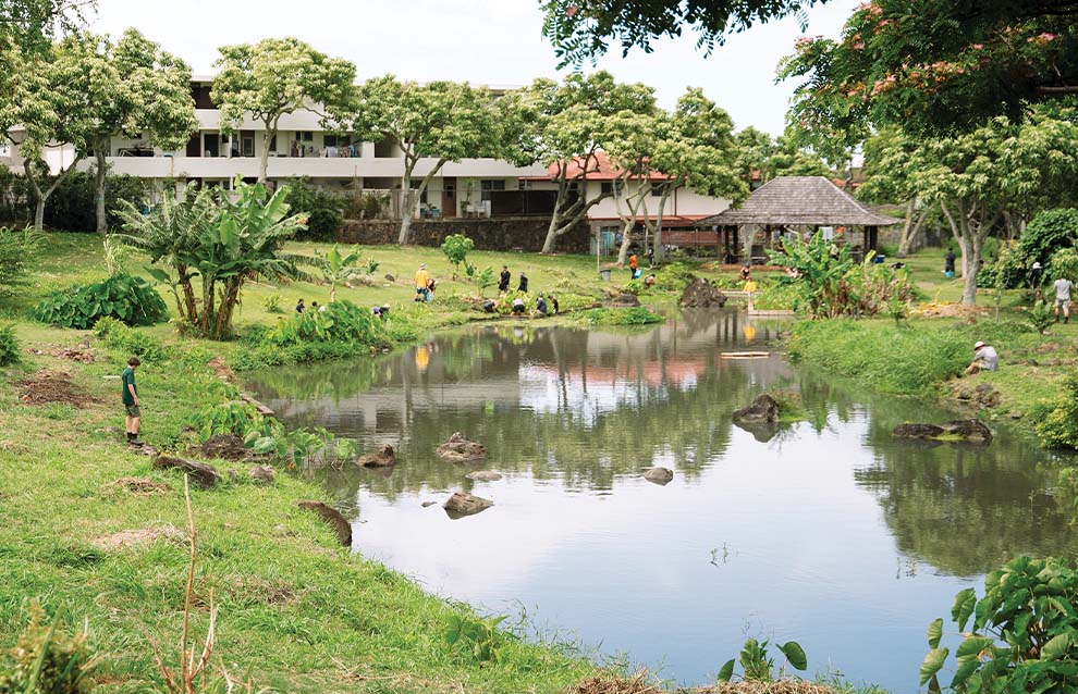 a pond with trees and buildings in the background